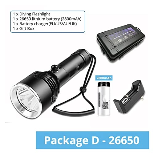 Submersible Light