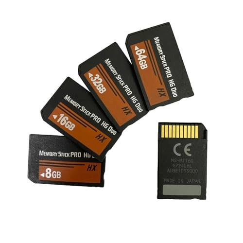 Memory Stick Pro-HG Duo - 128GB
