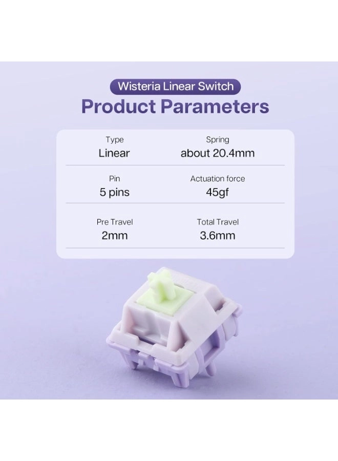 Wisteria - 30 Pieces