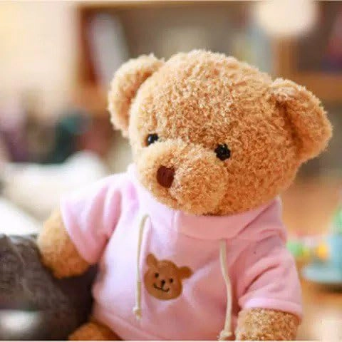 Teddy Bear