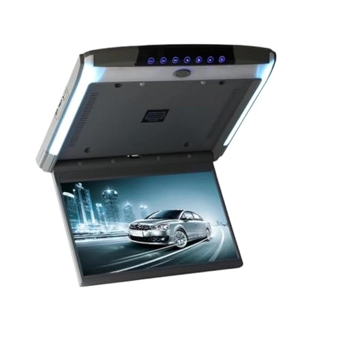 Car Roof Monitor - 12.5 inch