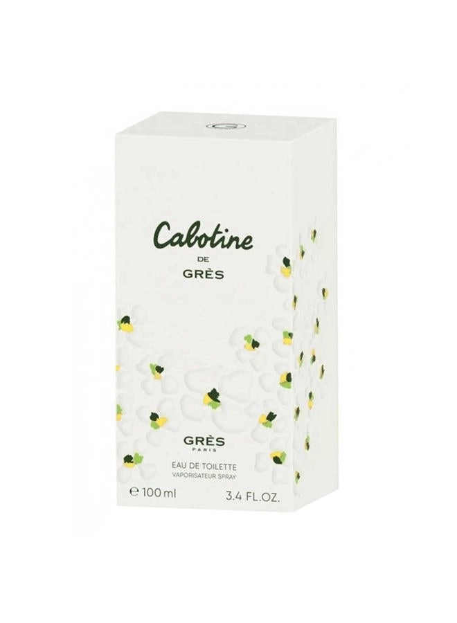 Perfume For Women Eau de Toilette 100ml