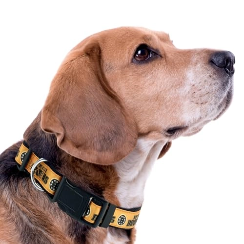 Boston Bruins Collar - M Dog