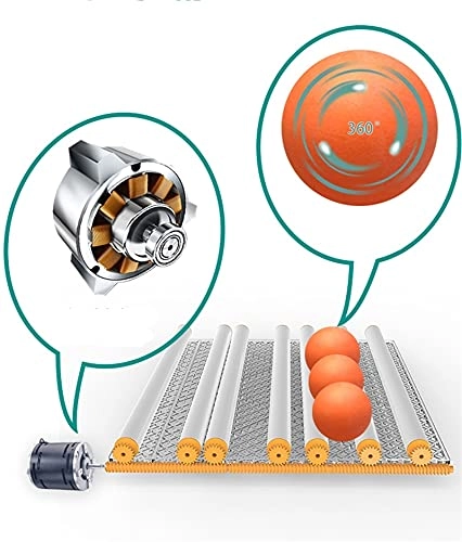 Egg Incubator - 48 Eggs Fully Automatic