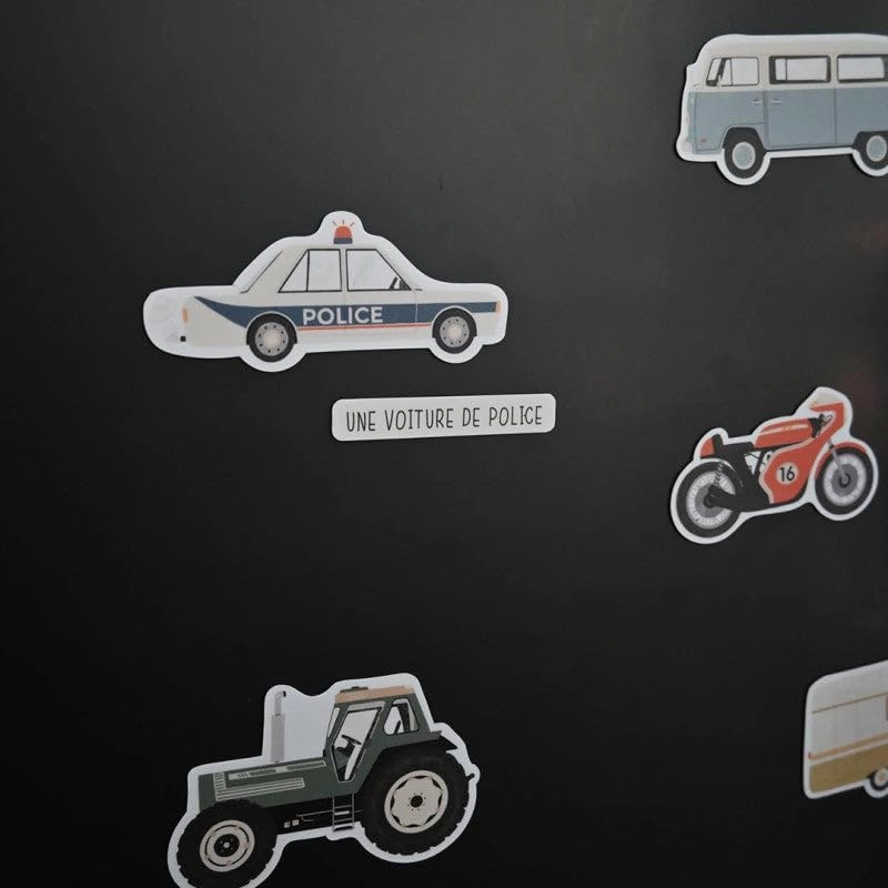 Ferflex Land Transport - 3 Years 45 Magnets