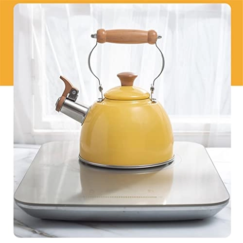 Stainless Steel Kettle - 2.5L