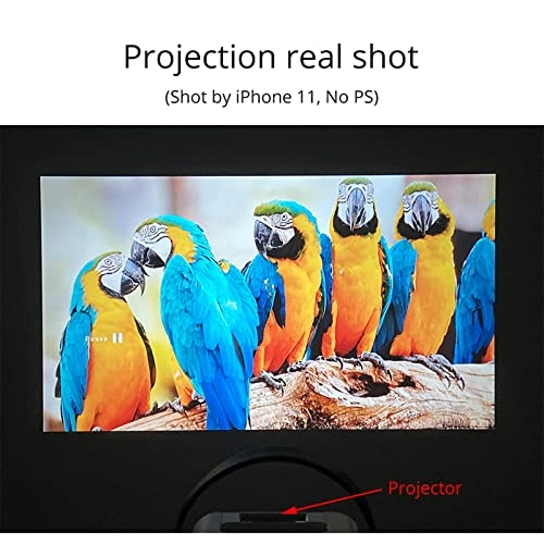 Projector - 12000 Lumens Native 1080P