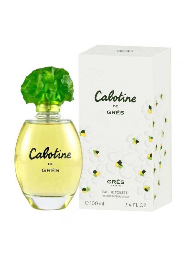 Perfume For Women Eau de Toilette 100ml