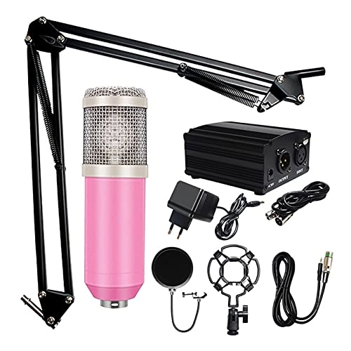 01 Condenser Wired Microphone Bundle