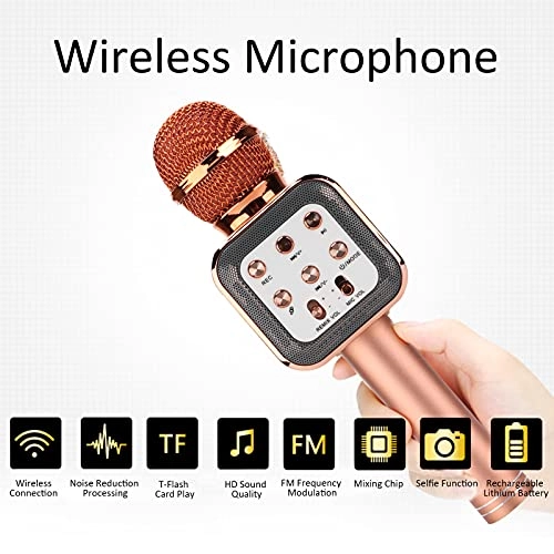 Microphone Speaker - 5W