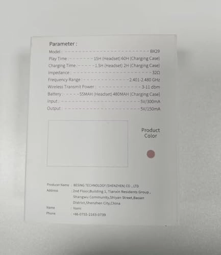 BX29 Wireless Earbud