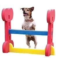 Dog & Cat Training & Behaviour Aids