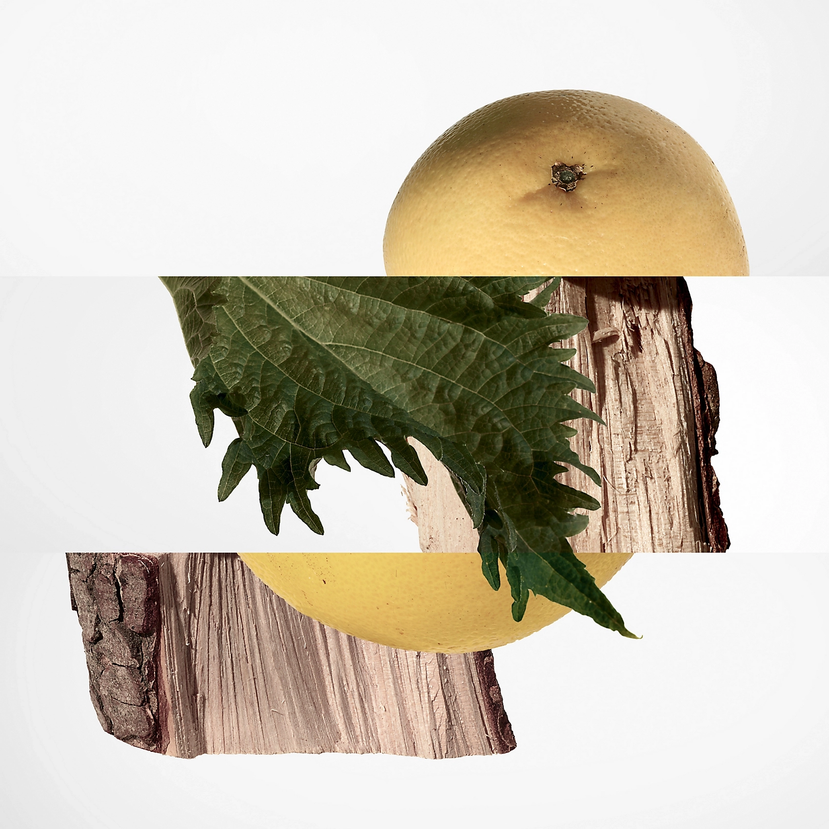 Terre De Hermes Eau de Parfum - 200ml