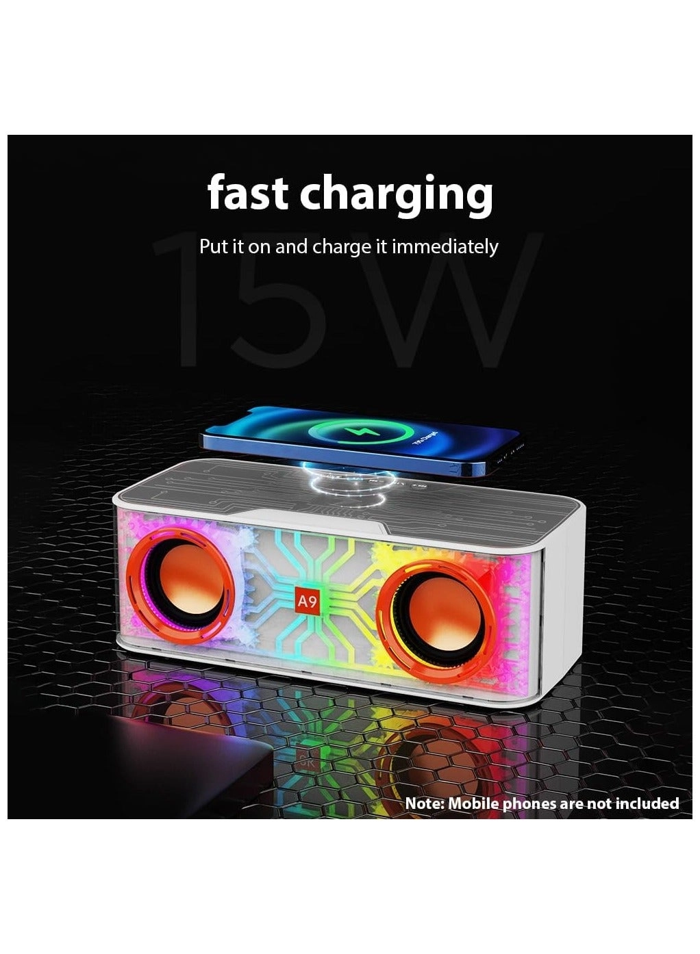 Karaoke Set - 2 Microphones 15W