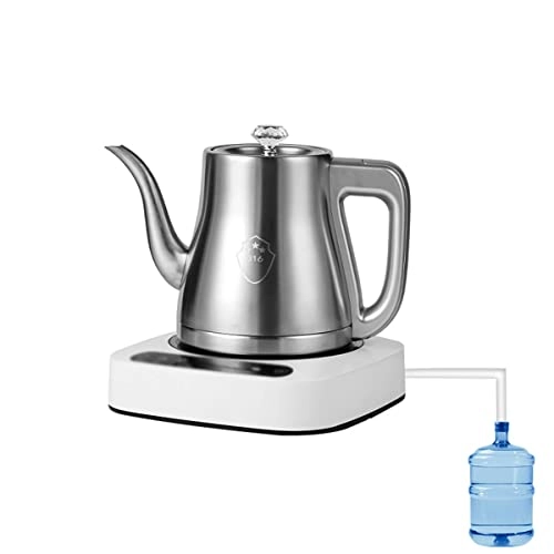 Temperature Control Electric Kettle