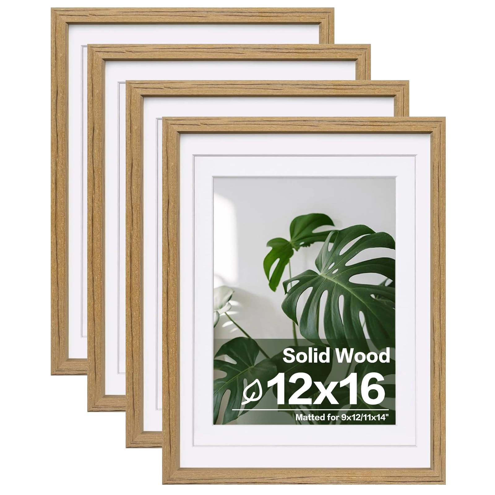 picture frames - 12x16