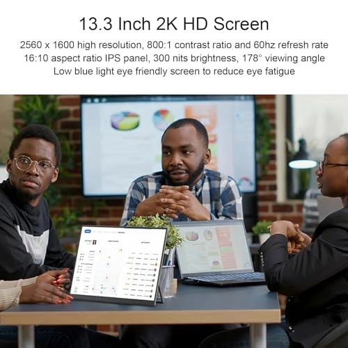 Portable Display - Plyisty31cngey60a 13.3 Inch 2560 x 1600