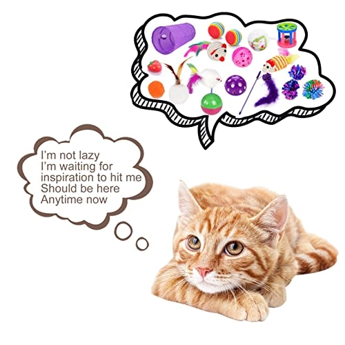 Cat Toys - 17 Pieces