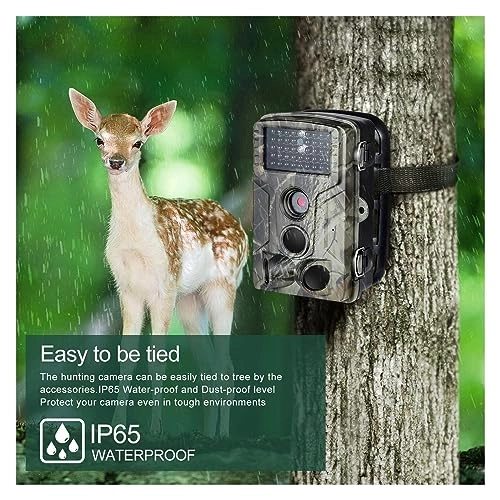 Wildlife Hunting Camera - 5MP