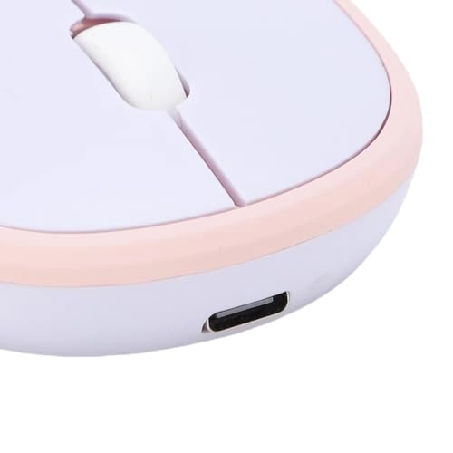 Wireless Mouse - 2.4G & BT Dual Mode