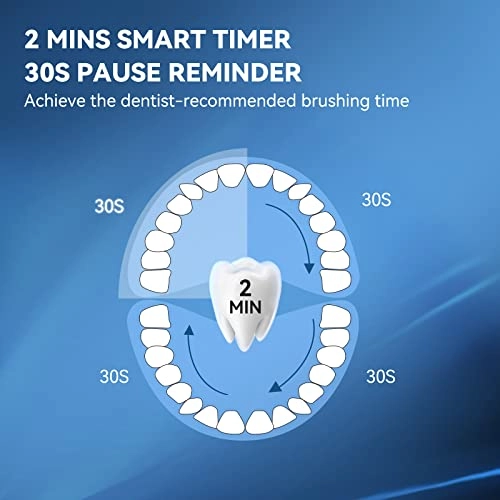P200 - 6 Brush Heads Travel Case 60 Days