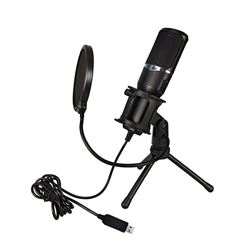 ss1/i47612 USB+3.5mm-Mini-Jack Microphone