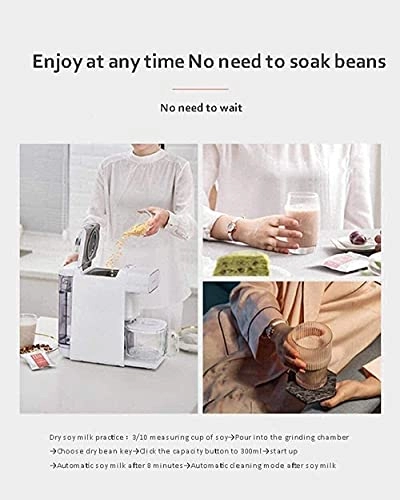 Fruit juicer - 300ml