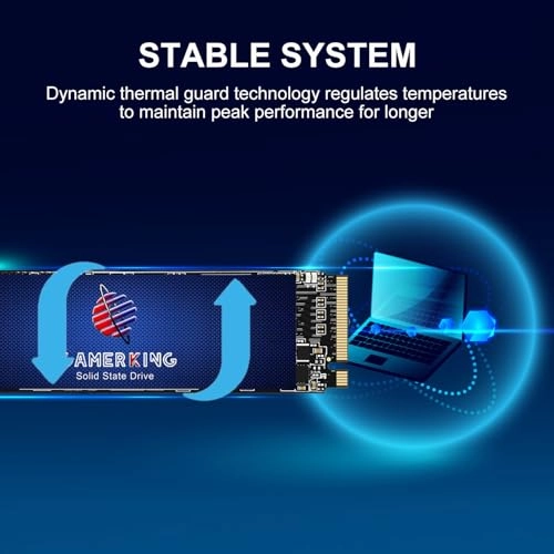 SSD - 128GB M.2 2242