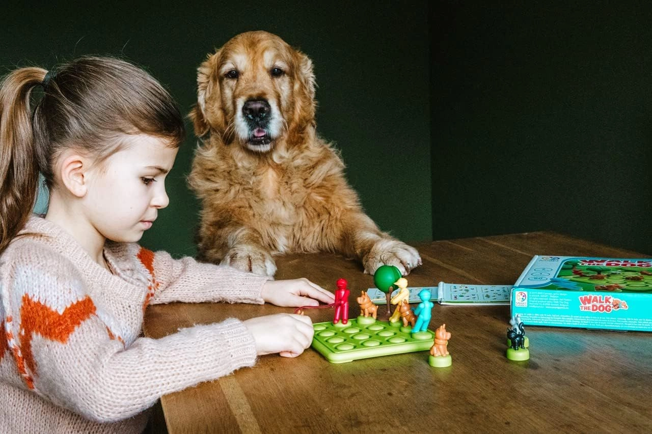 Walk The Dog Puzzle (Klg-SG427)