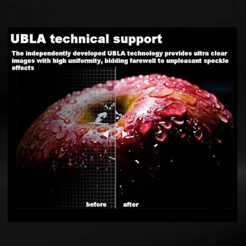 8674568739201 4900 ANSI lumens