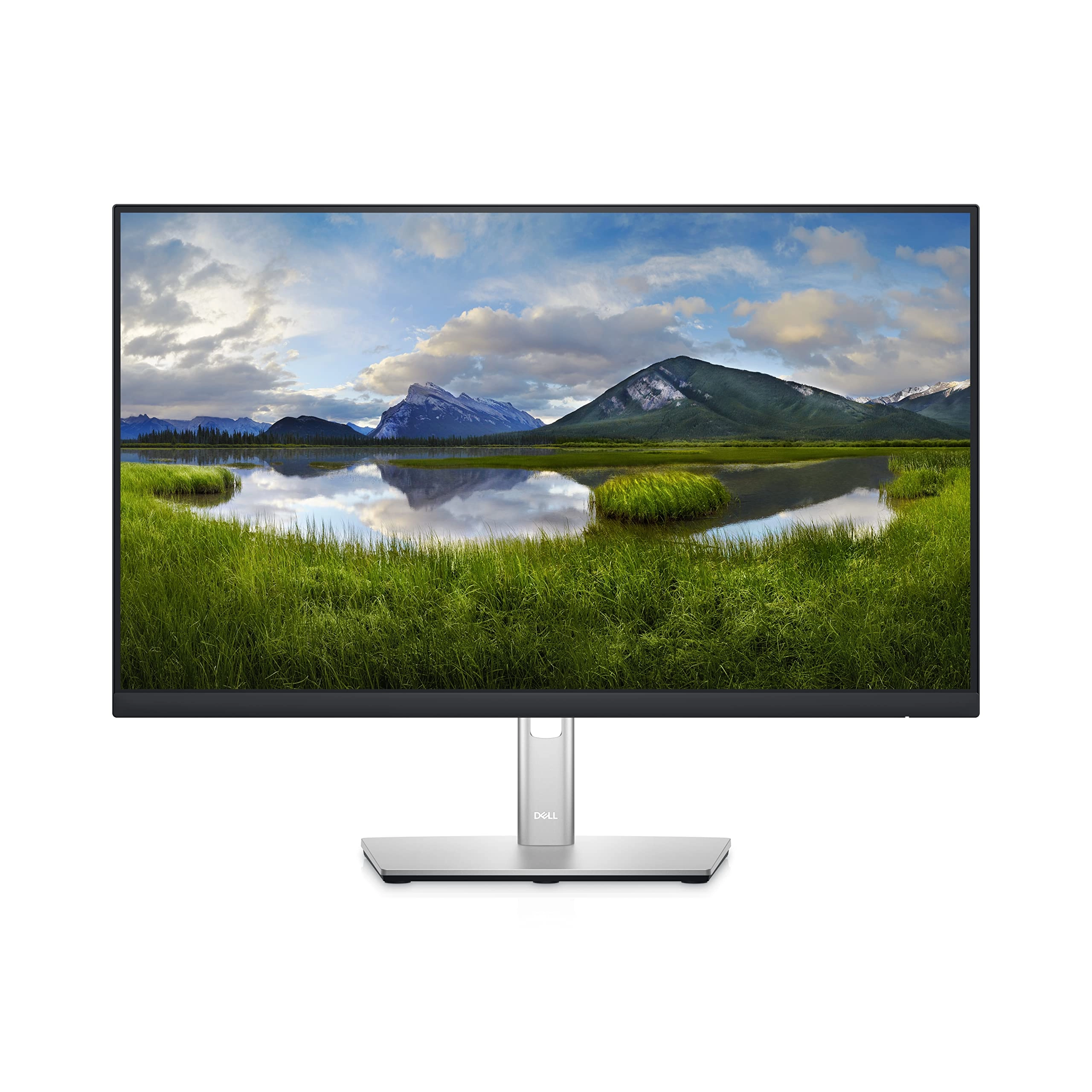 DELL P2422HE - 24 inch 1920 x 1080