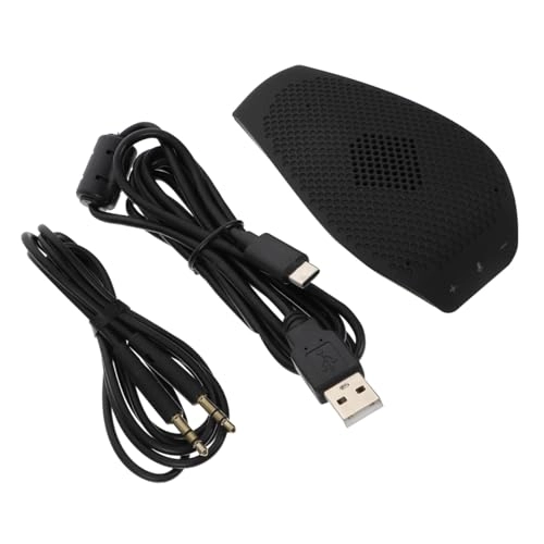 Directional Wireless Microphone