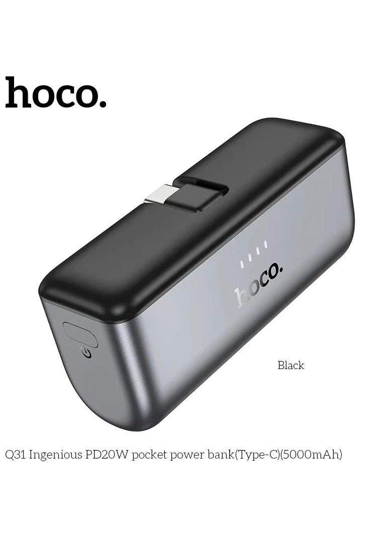 Q31 - 5000 Watt-hour 20W MagSafe