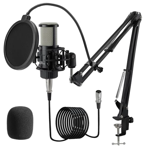 AC22 XLR Microphone