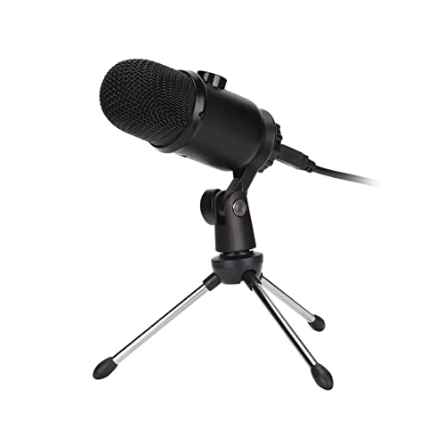 HLPFXXLHV USB Microphone