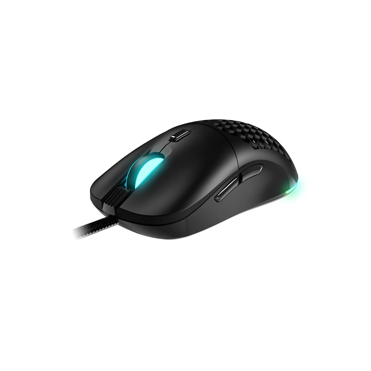 Newskill Gaming Arakne Tournament - Almbrico