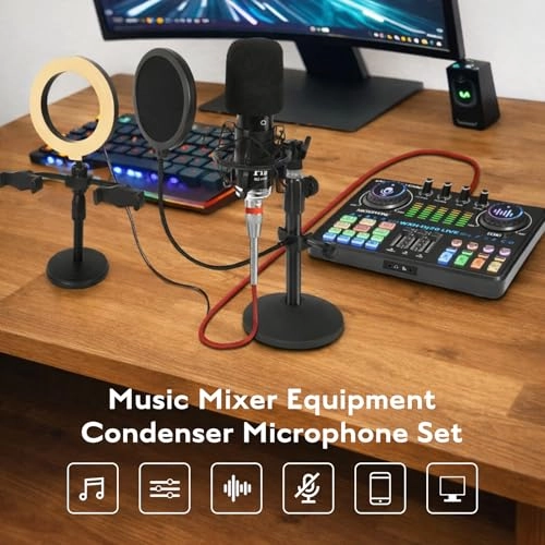 WXH520 + Dj20 USB Microphone