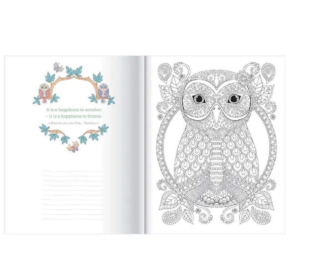 Hello Angel Owls Wild & Whimsical