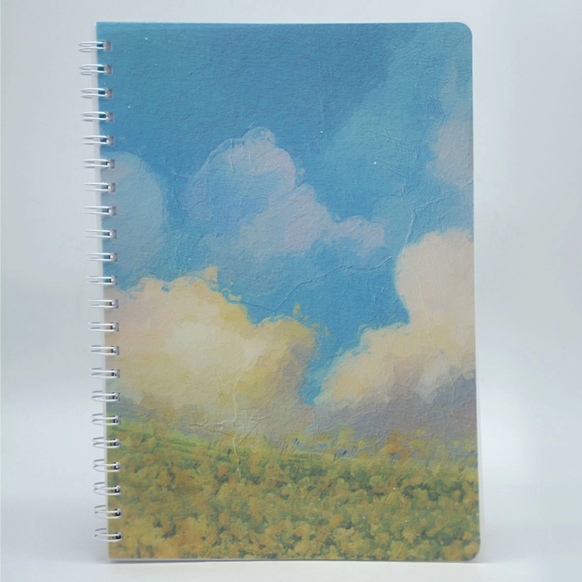 THE BOOKSHOP Spiral Note Book One Size Spiral - Lined