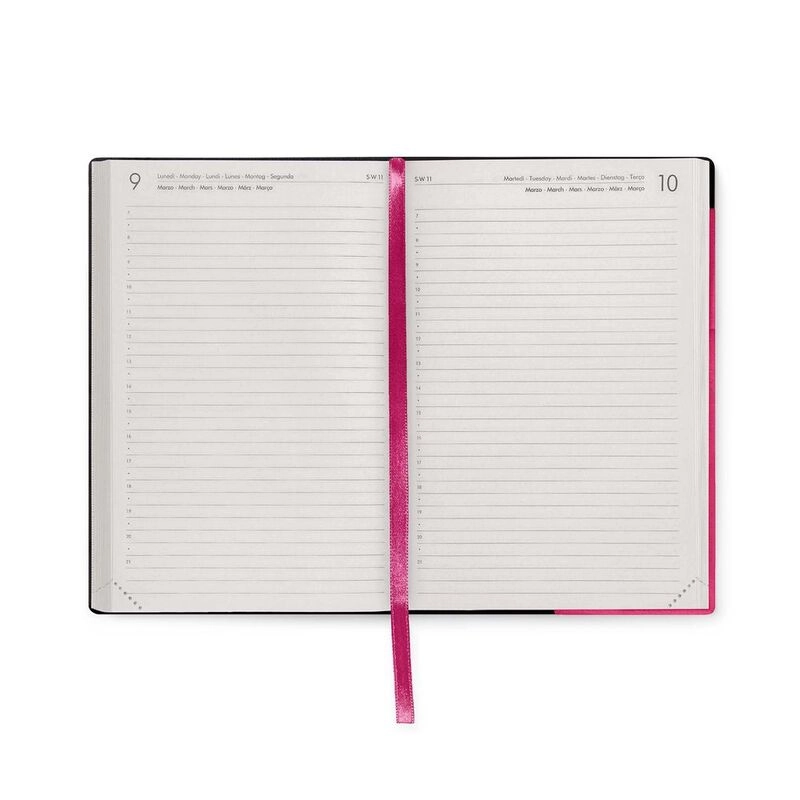 16-Month Diary - Medium