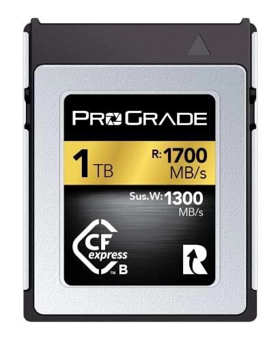 CFexpress Type B - 1TB