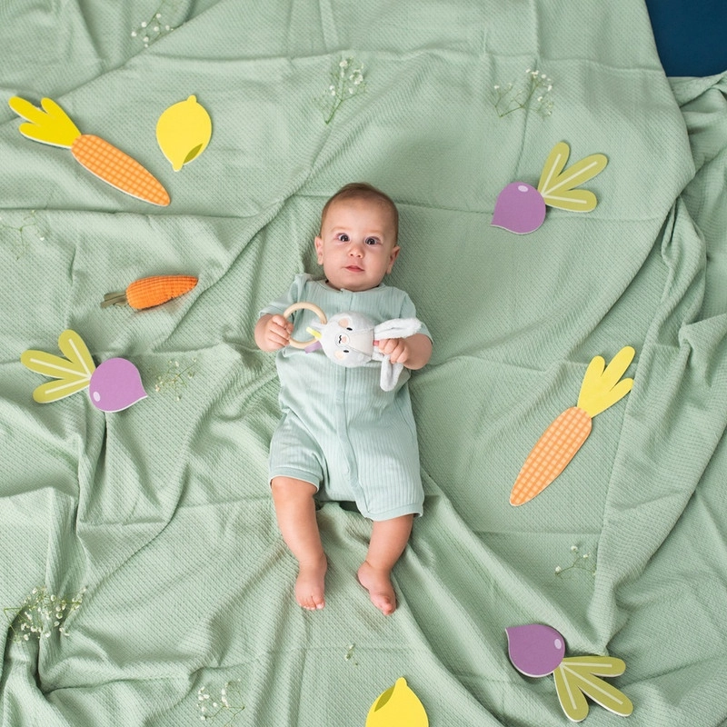 Rylee Musical Bunny - 0 Months & Above ultra-soft fabric