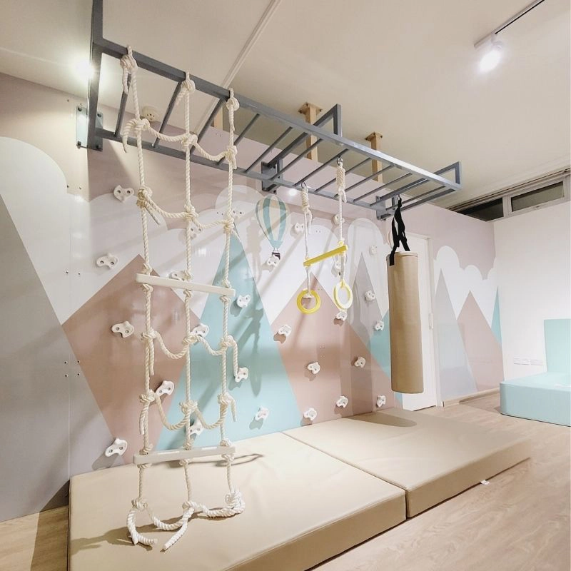 Climbing Wall - Mountain Graphic Monkey Bars 2 Panel