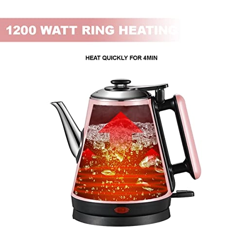 Fast Boil Illuminated Electric Kettle