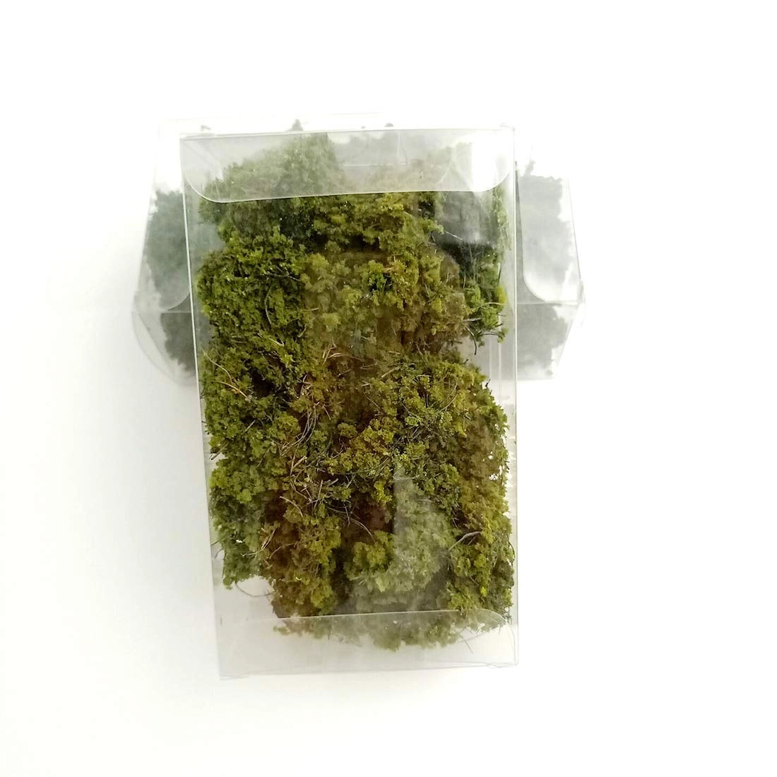 Miniature Shrubs