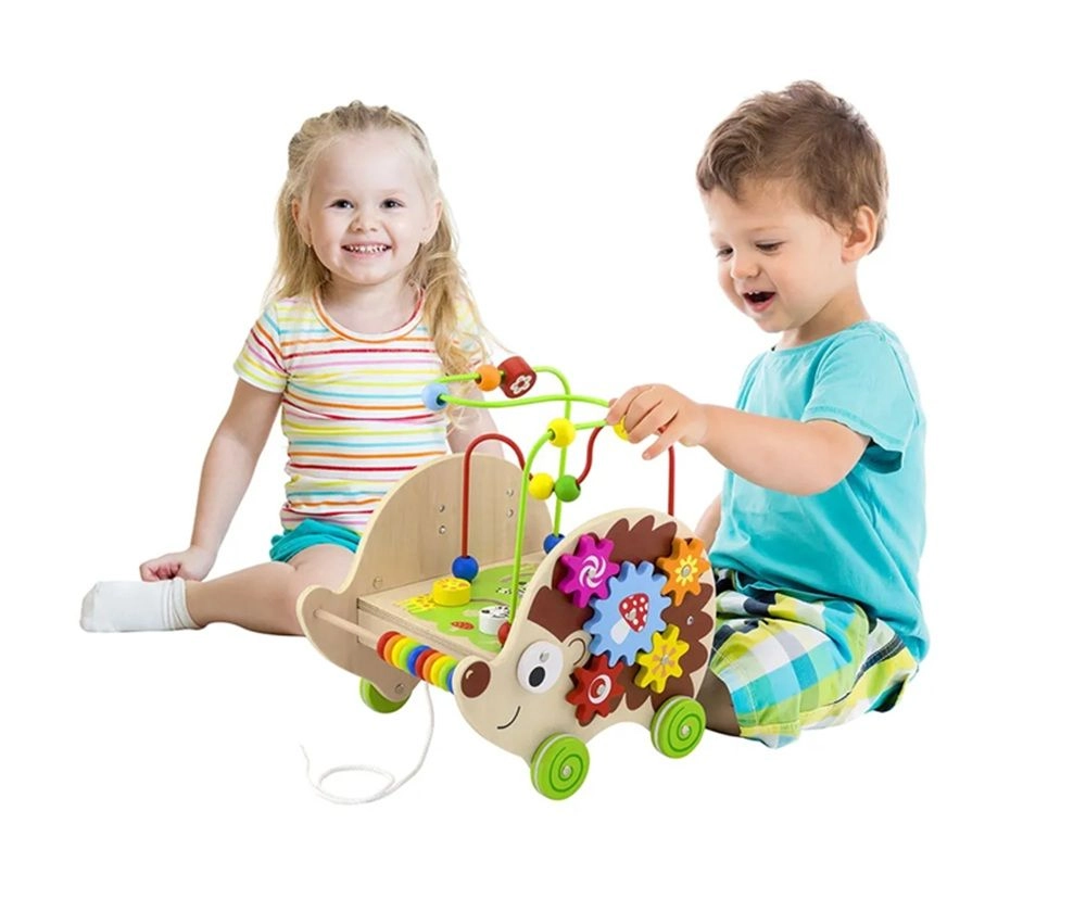 5-in-1 Pull-along Activity Hedgehog