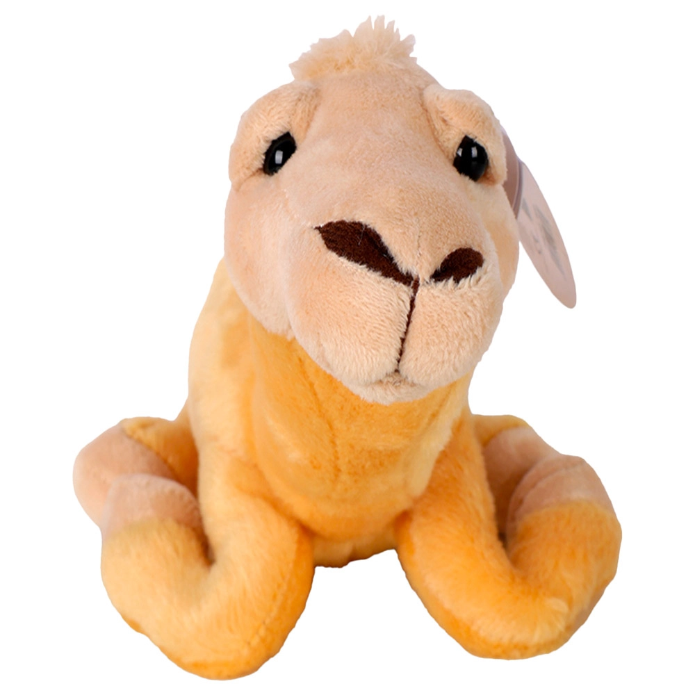 Camel Funky UAE - 12 Inch Plush
