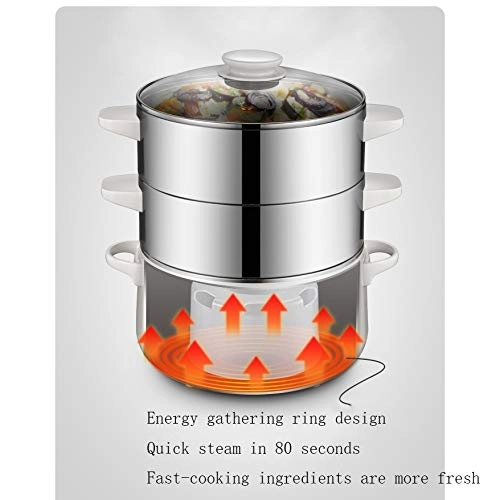 Electric Steamer - 3