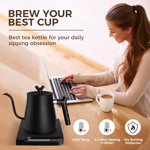 Gooseneck Electric Kettle