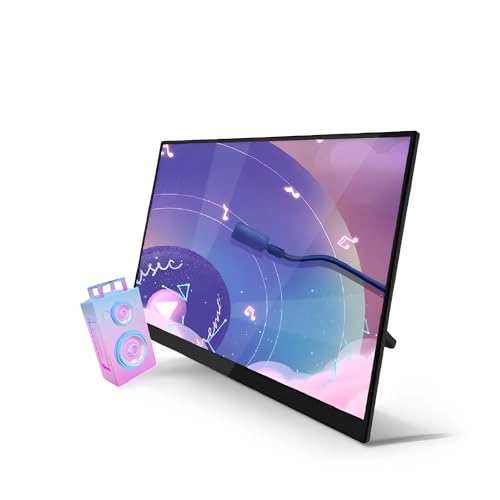 15.6in Portable Monitor - 1920X1080